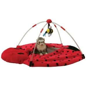  Marshall Ferret Bed Bug Play Center
