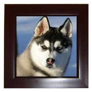  Siberian Husky Puppy Dog 2 Framed Tile G0629 Everything 