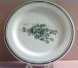Williams Sonoma Thyme Herb Lunch Plate #WSO24 Porcelain  