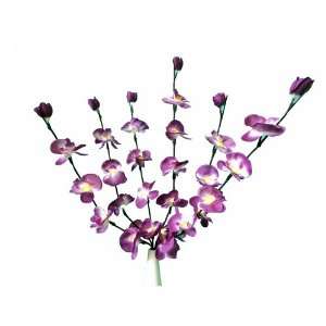   Purple Moth Orchid with White LED Light Branch