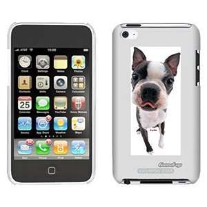    Boston Terrier on iPod Touch 4 Gumdrop Air Shell Case Electronics