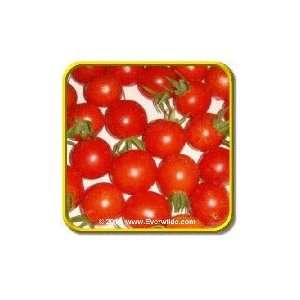   Lb   Sugar Lump   Bulk Heirloom Tomato Seeds Patio, Lawn & Garden