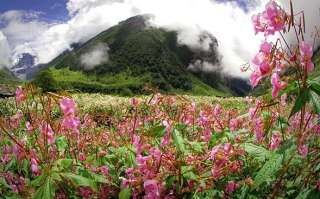 The Valley of the Flowers in the Himalayan Mountains.