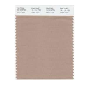  PANTONE SMART 16 1318X Color Swatch Card, Warm Taupe