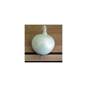 Onion Whitewing Hybrid Seeds Patio, Lawn & Garden