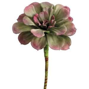  Faux 7 Small Aeonium Pick Green Mauve (Pack of 12) Patio 
