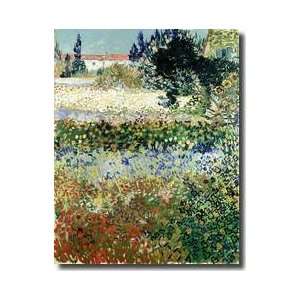  Garden In Bloom Arles 1888 Giclee Print