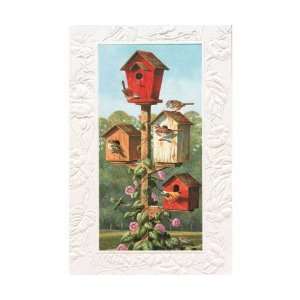   Birdhouses Bday   Everyday Greeting Cards. Pack of 6: Everything Else