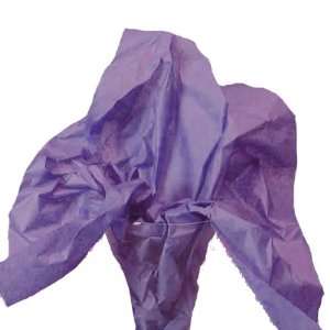  Pansy Wrap Tissue Paper 20 X 30   48 Sheets Health 