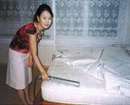 Purelight XD UV Wand Sterilizer Bed Bug Removal  