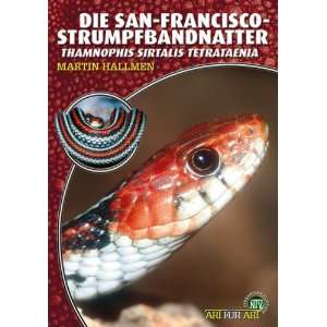 Die San Francisco Strumpfbandnatter Thamnophis sirtalis tetrataenia 