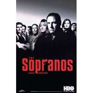 SOPRANOS HBO FAMILY REDEFINED POSTER 16 X 20 
