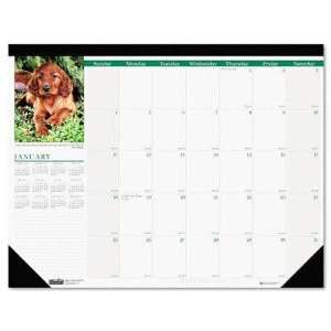 House of Doolittle Puppies Monthly Desk Pad Calendar:  Home 