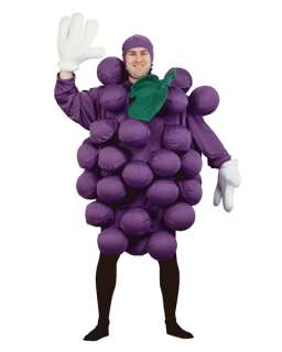 Purple Grapes Costume   Family Friendly Costumes