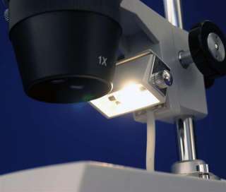 20X & 40X Dental Lab Binocular Stereo Microscope 013964503241  