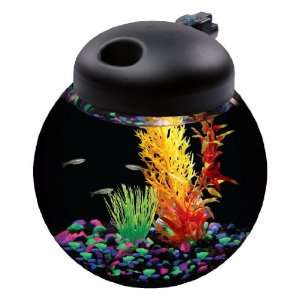   Aq150004c Led Globe Bowl 1.5 Gallon Aquarium Kit: Pet Supplies
