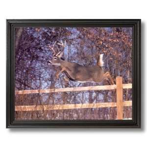  Whitetail Buck Deer Big Rack Jumping Fence Animal Wildlife 
