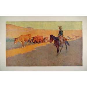 1909 Frederic Remington Cowboy Horse Texas Cattle   Original Artists 