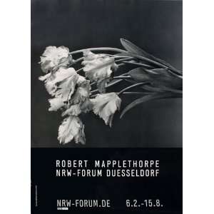    Parrot Tulips (1988) by Robert Mapplethorpe   1988