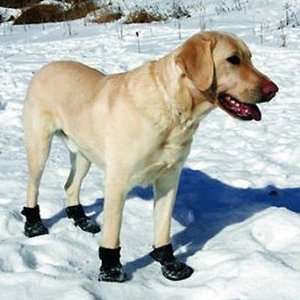  TrAction Dog Boots   Large (3 1/4W)   Frontgate Pet 