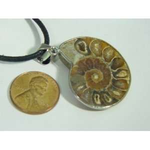   Ammonite Nautiloid Fossil Specimen Pendant Necklace Jewelry Lapidary
