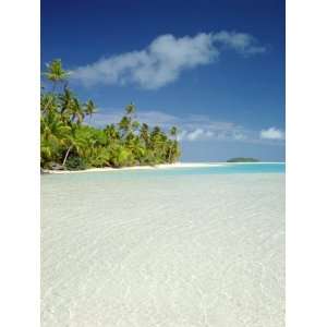 Palm Trees and Tropical Beach, Aitutaki Island, Cook Islands 