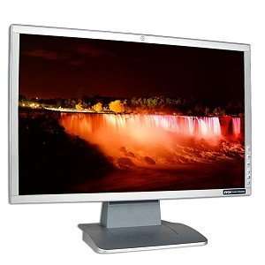   19 HP Debranded Widescreen VGA/DVI TFT LCD Color Monitor: Electronics