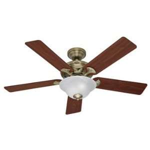   Hunter HR22455 52 Inch Antique Brass Ceiling Fan with Light Home