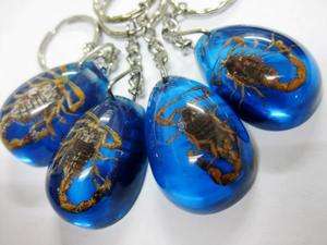  natural scorpion king blue amber magic key chains rare jewelry  