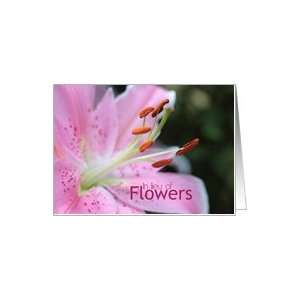  In Lieu of Flowers Pink Lily Sympathy card Card Health 