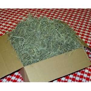   lb 2nd Cut Timothy Hay For Guinea Pigs and Chinchillas