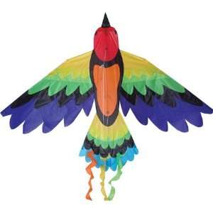  Bird Kite, Rainbow, 70 x 36 Toys & Games