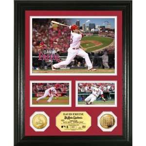   Louis Cardinals Gold Coin Showcase Photo Mint Sports Collectibles