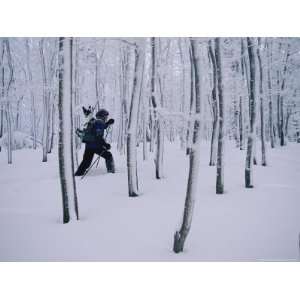  Man Carrying Snowboard While Snowshoeing Through Forest 