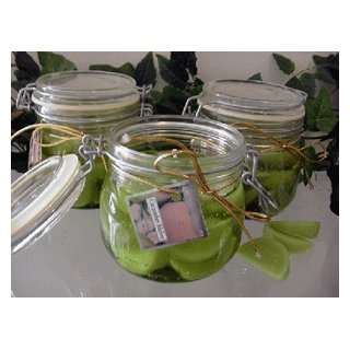  Cucumber Melon Scented Glass Gel Preserve Jar Candle 16 Oz 